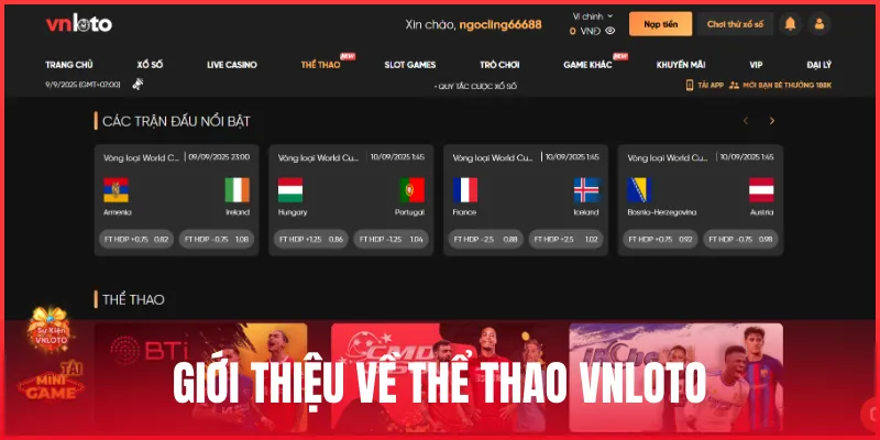 gioi-thieu-the-thao-vnloto