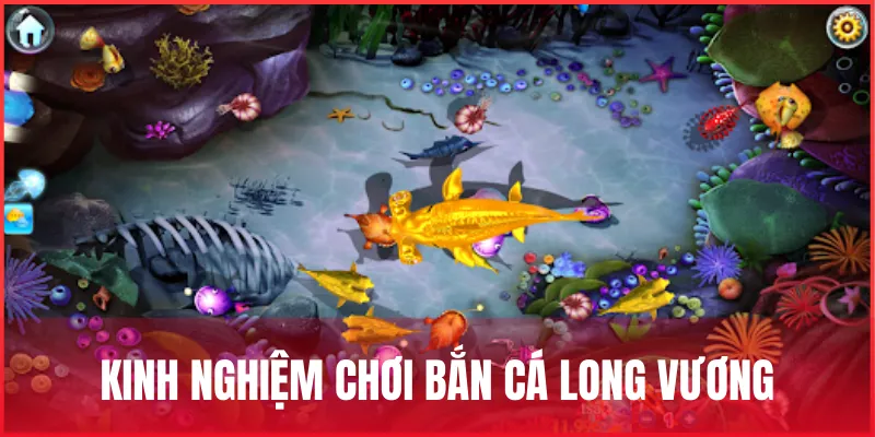 Bắn cá Long Vương – Trò chơi săn thưởng dưới lòng đại dương 4 kinh-nghiem-choi-ban-ca-long-vuong