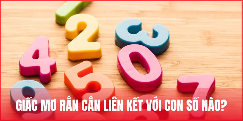 mo-ran-can-la-diem-gi-gan-lien-voi-so-nao