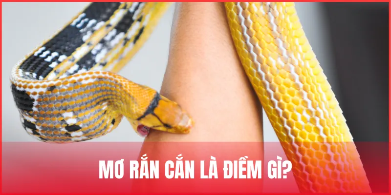 mo-ran-can-la-diem-gi